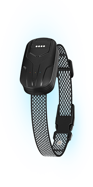 FurFence GPS Dog Collar Features
