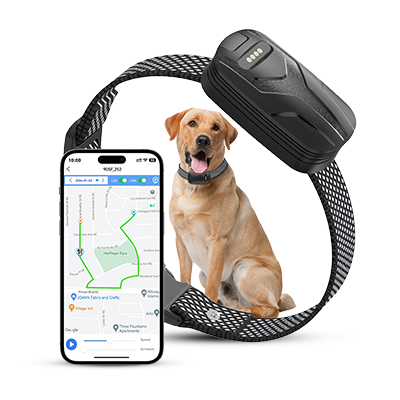 FurFence Dog Collar