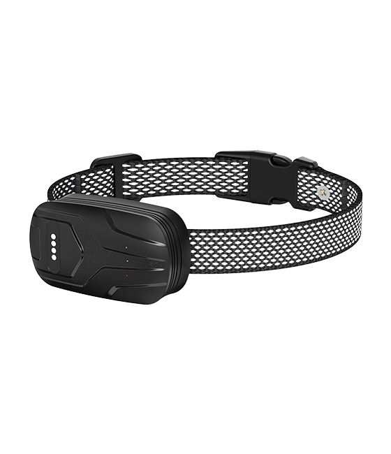 FurFence GPS Dog Collar